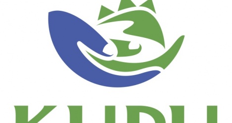 Kupu