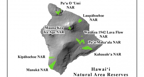 Hawai‘i Endangered Bird Conservation Program